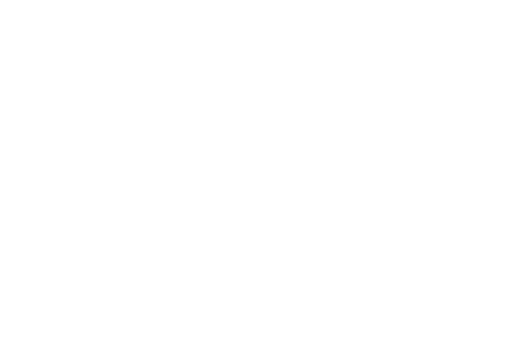 logo marque voiture Cupra