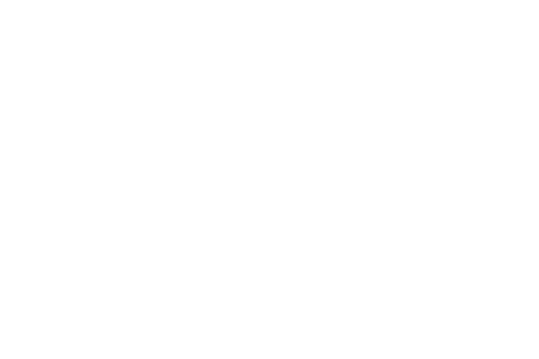 logo marque voiture Cupra